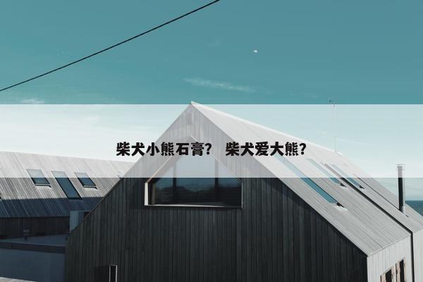 柴犬小熊石膏? 柴犬爱大熊?