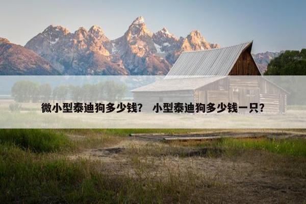微小型泰迪狗多少钱？ 小型泰迪狗多少钱一只？