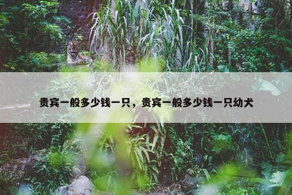 贵宾一般多少钱一只，贵宾一般多少钱一只幼犬