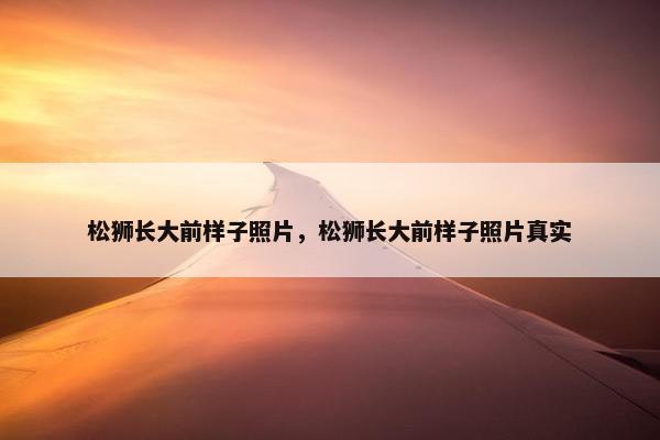 松狮长大前样子照片，松狮长大前样子照片真实