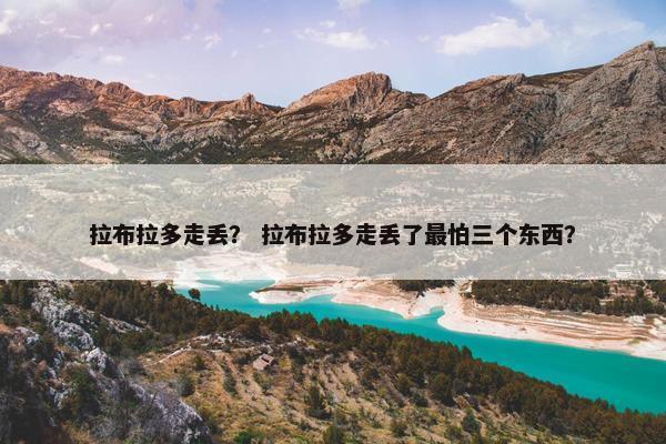 拉布拉多走丢？ 拉布拉多走丢了最怕三个东西？