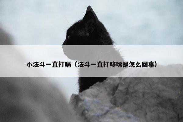 小法斗一直打嗝（法斗一直打哆嗦是怎么回事）