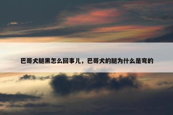 巴哥犬腿黑怎么回事儿，巴哥犬的腿为什么是弯的