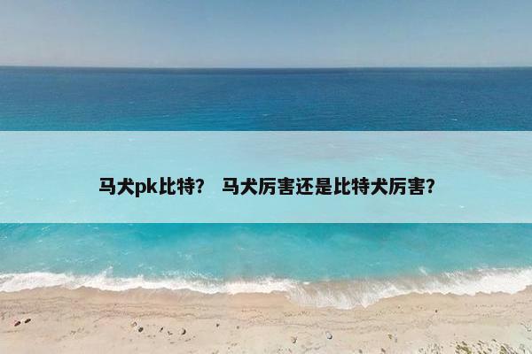 马犬pk比特? 马犬厉害还是比特犬厉害?