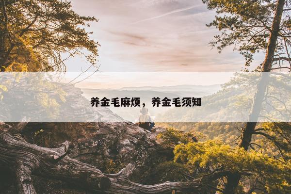 养金毛麻烦，养金毛须知