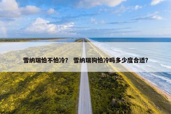 雪纳瑞怕不怕冷？ 雪纳瑞狗怕冷吗多少度合适？