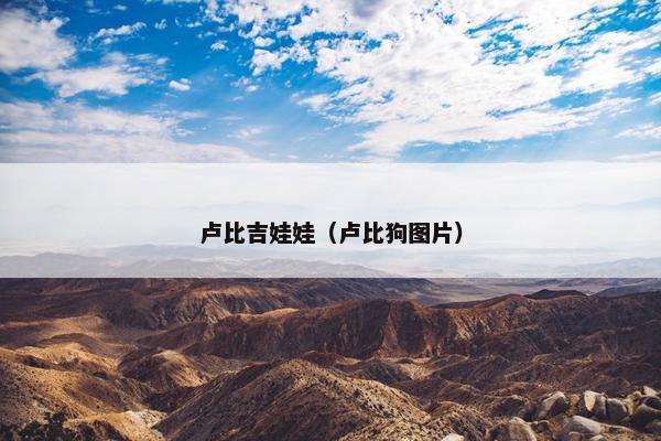 卢比吉娃娃（卢比狗图片）