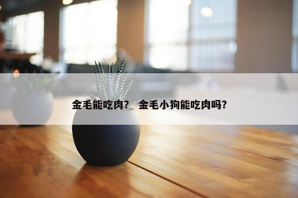 金毛能吃肉？ 金毛小狗能吃肉吗？