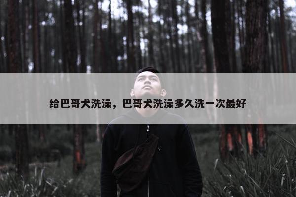 给巴哥犬洗澡，巴哥犬洗澡多久洗一次最好