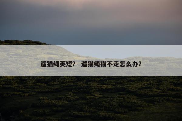 遛猫绳英短？ 遛猫绳猫不走怎么办？