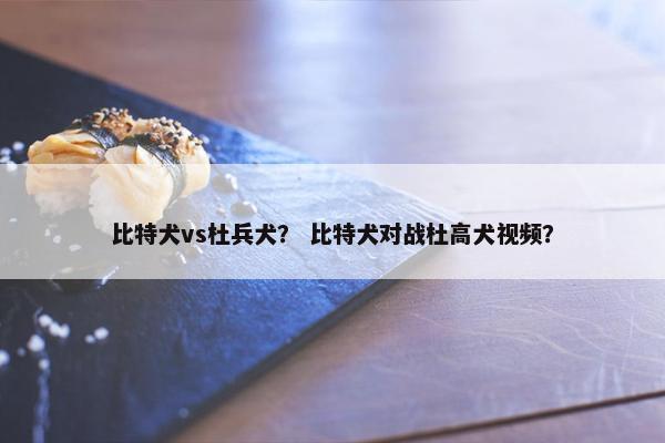 比特犬 第10页