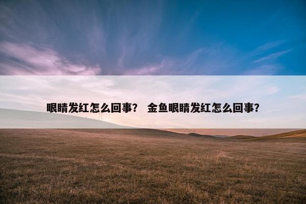眼睛发红怎么回事？ 金鱼眼睛发红怎么回事？