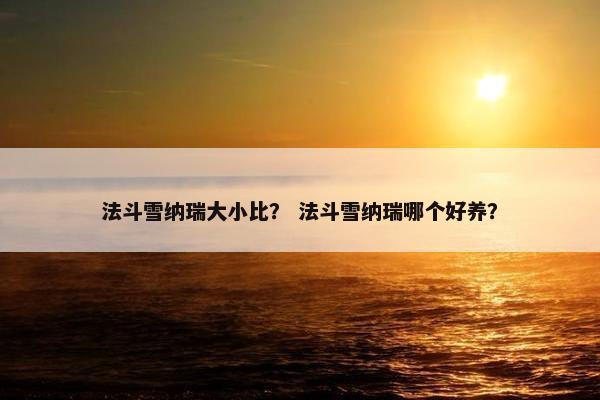 法斗雪纳瑞大小比? 法斗雪纳瑞哪个好养?