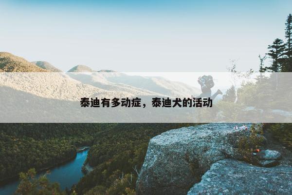 泰迪有多动症，泰迪犬的活动