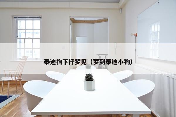 泰迪狗下仔梦见（梦到泰迪小狗）