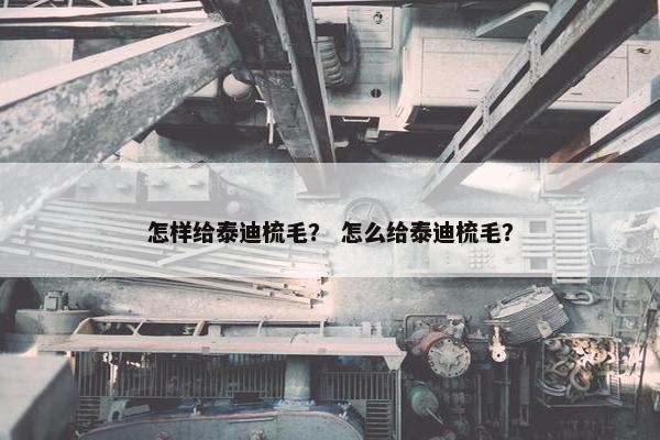 怎样给泰迪梳毛？ 怎么给泰迪梳毛？