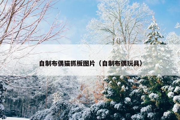自制布偶猫抓板图片（自制布偶玩具）