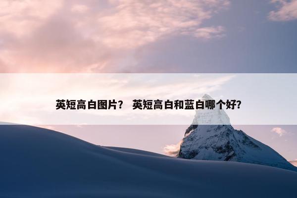 英短高白图片？ 英短高白和蓝白哪个好？