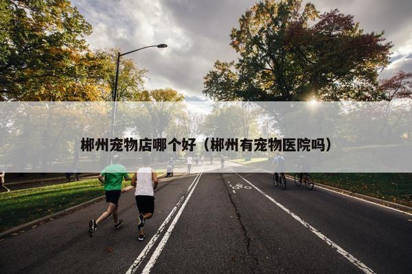 郴州宠物店哪个好（郴州有宠物医院吗）