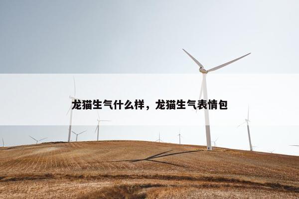 龙猫生气什么样，龙猫生气表情包