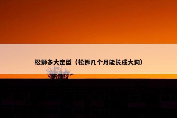 松狮多大定型（松狮几个月能长成大狗）
