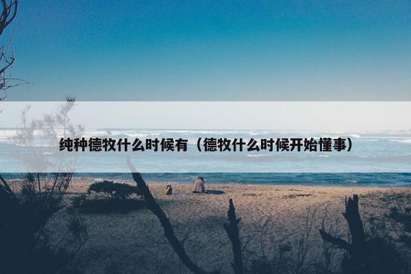 纯种德牧什么时候有（德牧什么时候开始懂事）