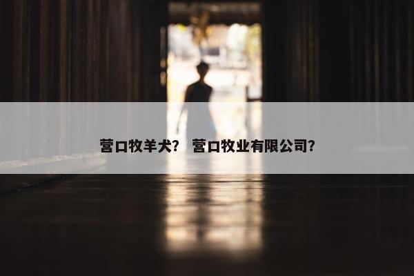 营口牧羊犬？ 营口牧业有限公司？