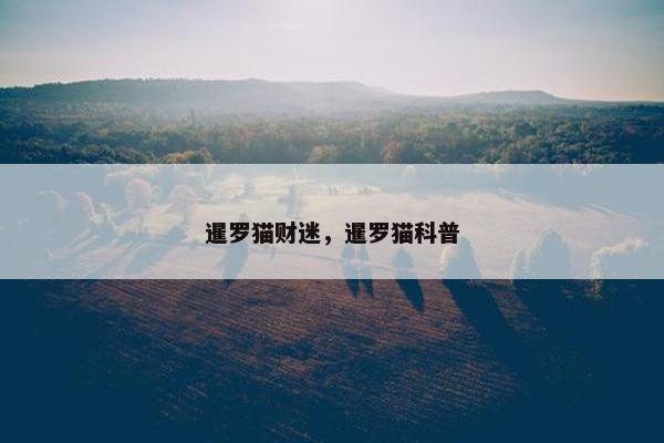 身边