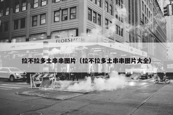 拉不拉多土串串图片（拉不拉多土串串图片大全）