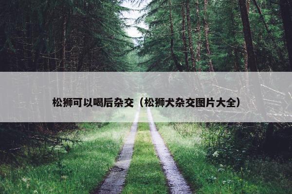 松狮可以喝后杂交(松狮犬杂交图片大全)