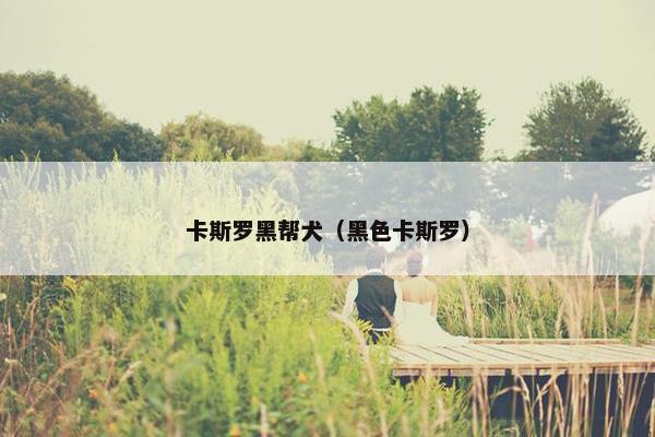 卡斯罗黑帮犬（黑色卡斯罗）