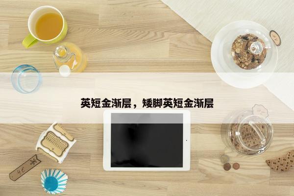 英短金渐层，矮脚英短金渐层