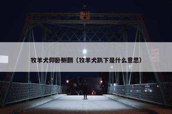 梦见