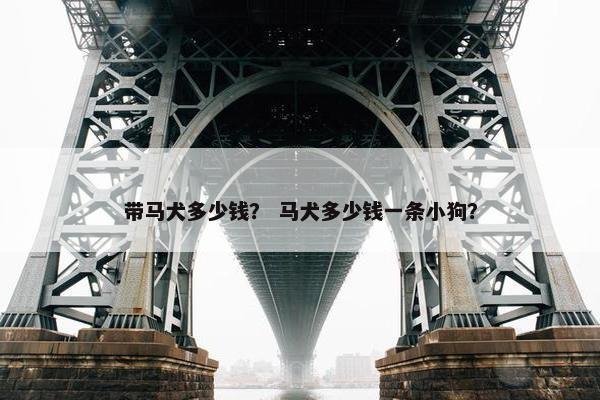 带马犬多少钱？ 马犬多少钱一条小狗？