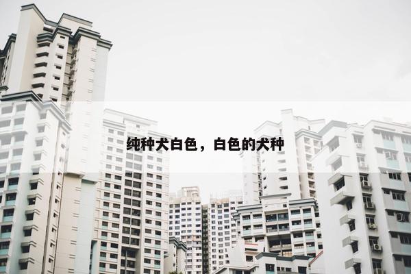 纯种犬白色，白色的犬种