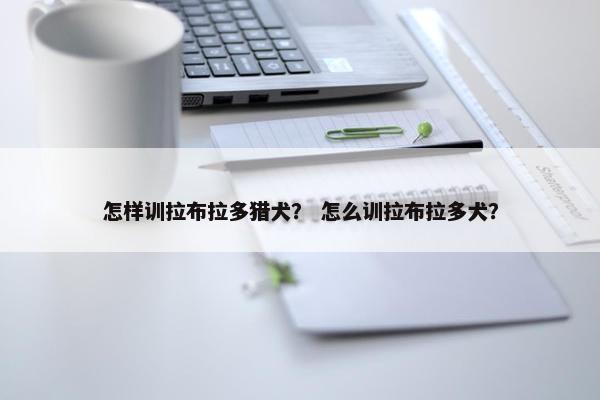 怎样训拉布拉多猎犬？ 怎么训拉布拉多犬？