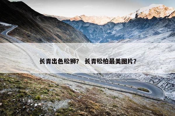 长青出色松狮？ 长青松柏最美图片？