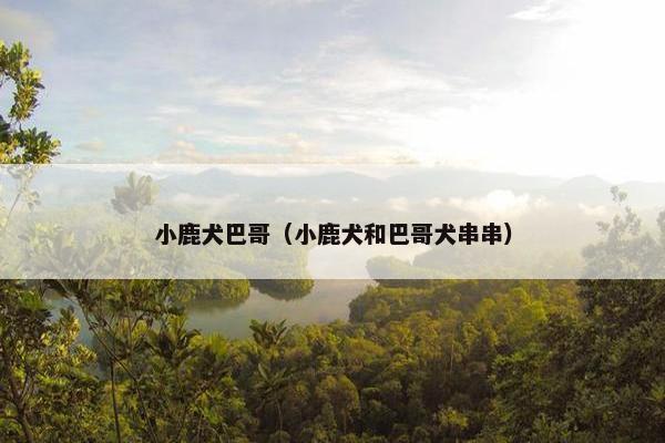 小鹿犬巴哥（小鹿犬和巴哥犬串串）