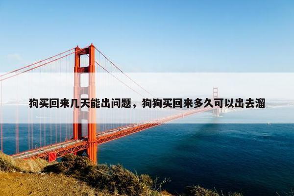 狗能 第11页