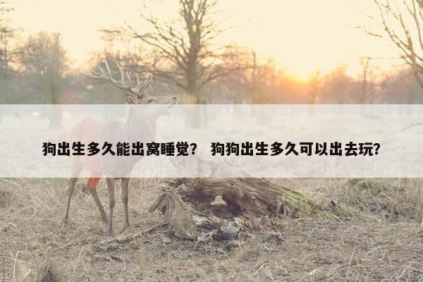 狗出生多久能出窝睡觉？ 狗狗出生多久可以出去玩？