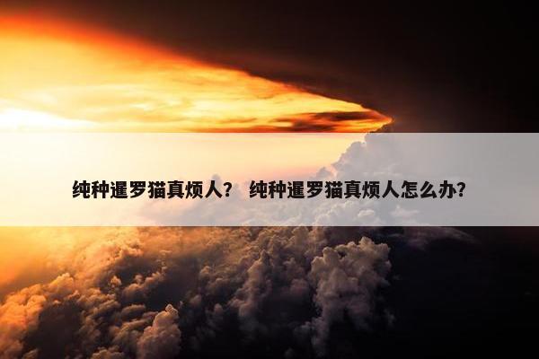 很多