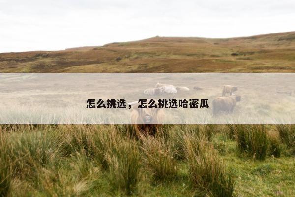 油漆