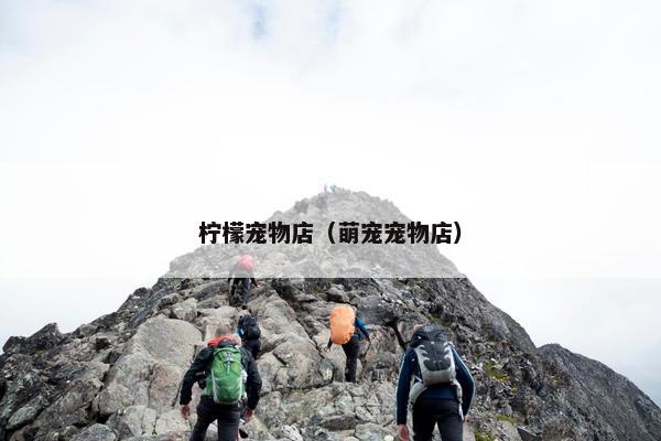 柠檬宠物店（萌宠宠物店）