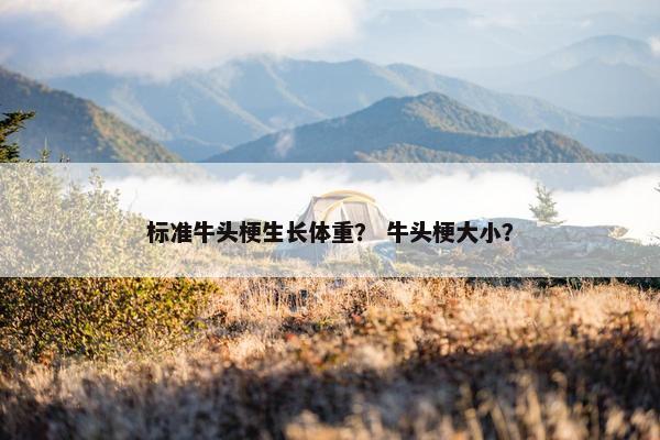 厘米 第5页