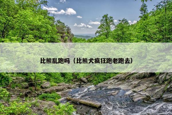 乱跑