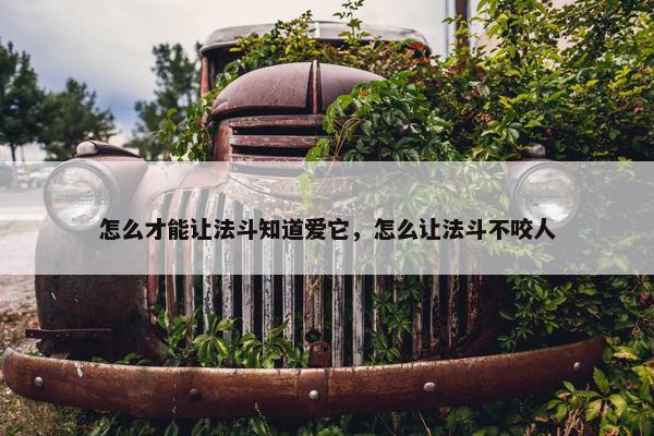 怎么才能让法斗知道爱它,怎么让法斗不咬人