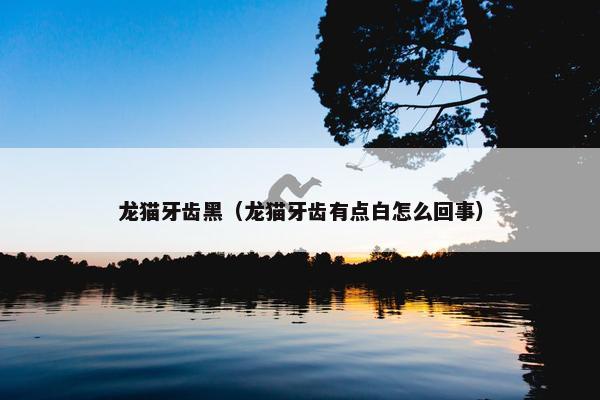 龙猫牙齿黑（龙猫牙齿有点白怎么回事）