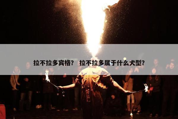 拉不拉多宾格？ 拉不拉多属于什么犬型？