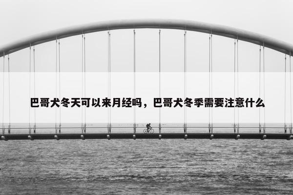 巴哥犬冬天可以来月经吗，巴哥犬冬季需要注意什么