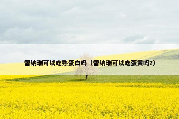 雪纳瑞可以吃熟蛋白吗（雪纳瑞可以吃蛋黄吗?）